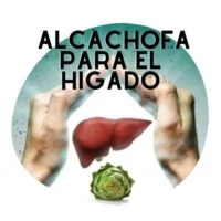 alcachofa para el higado