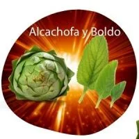 alcachofa y boldo
