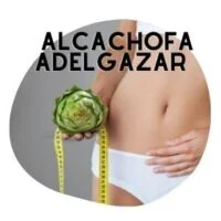 alcachofa para adelgazar