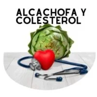 alcachofa para el colesterol