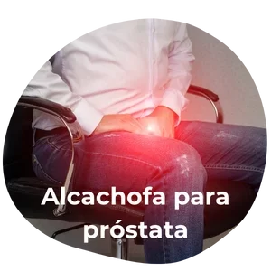 alcachofa para la próstata