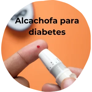 alcachofa para la diabetes