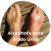 alcachofa para el ácido úrico