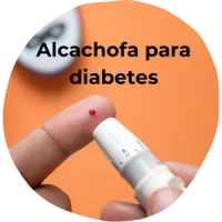 alcachofa para la diabetes